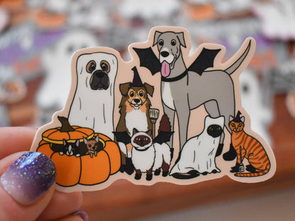 Pets In Costumes Halloween Animals Sticker